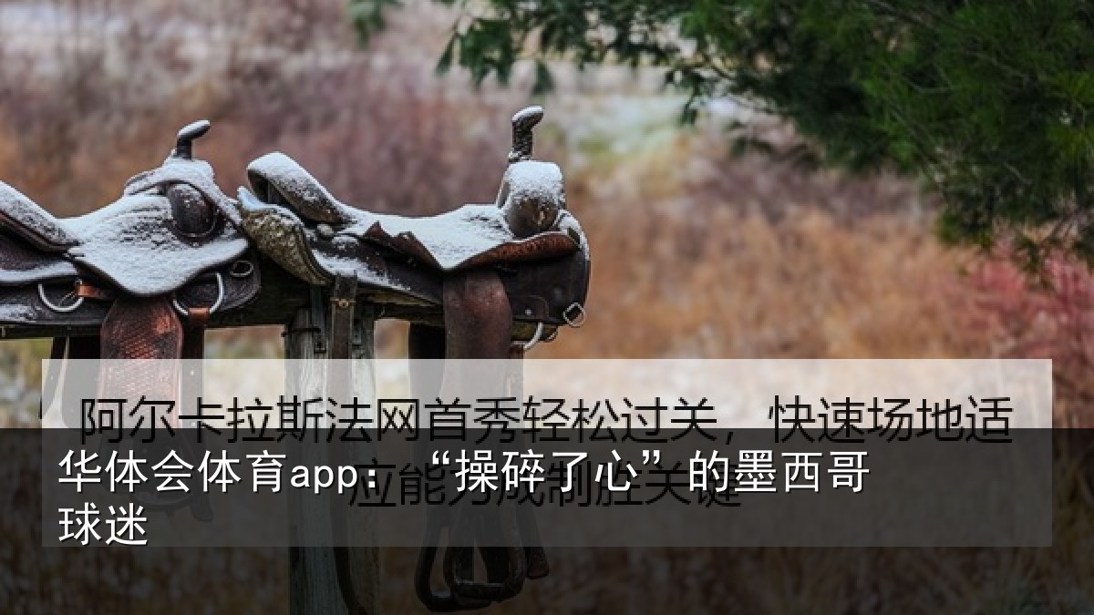 华体会体育app:“操碎了心”的墨西哥球迷