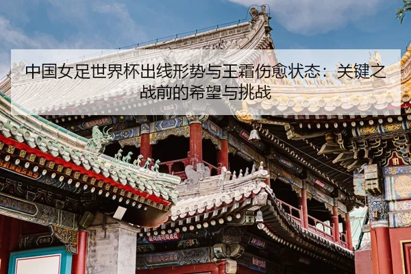 zhong-guo-nv-zu-shi-jie-bei-chu-xian-xing-shi-yu-wang-shuang-shang-yu-zhuang-tai-guan-jian-zhi-zhan-qian-de-xi-wang-yu-2-741.jpg
