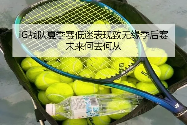 iG战队夏季赛低迷表现致无缘季后赛 未来何去何从